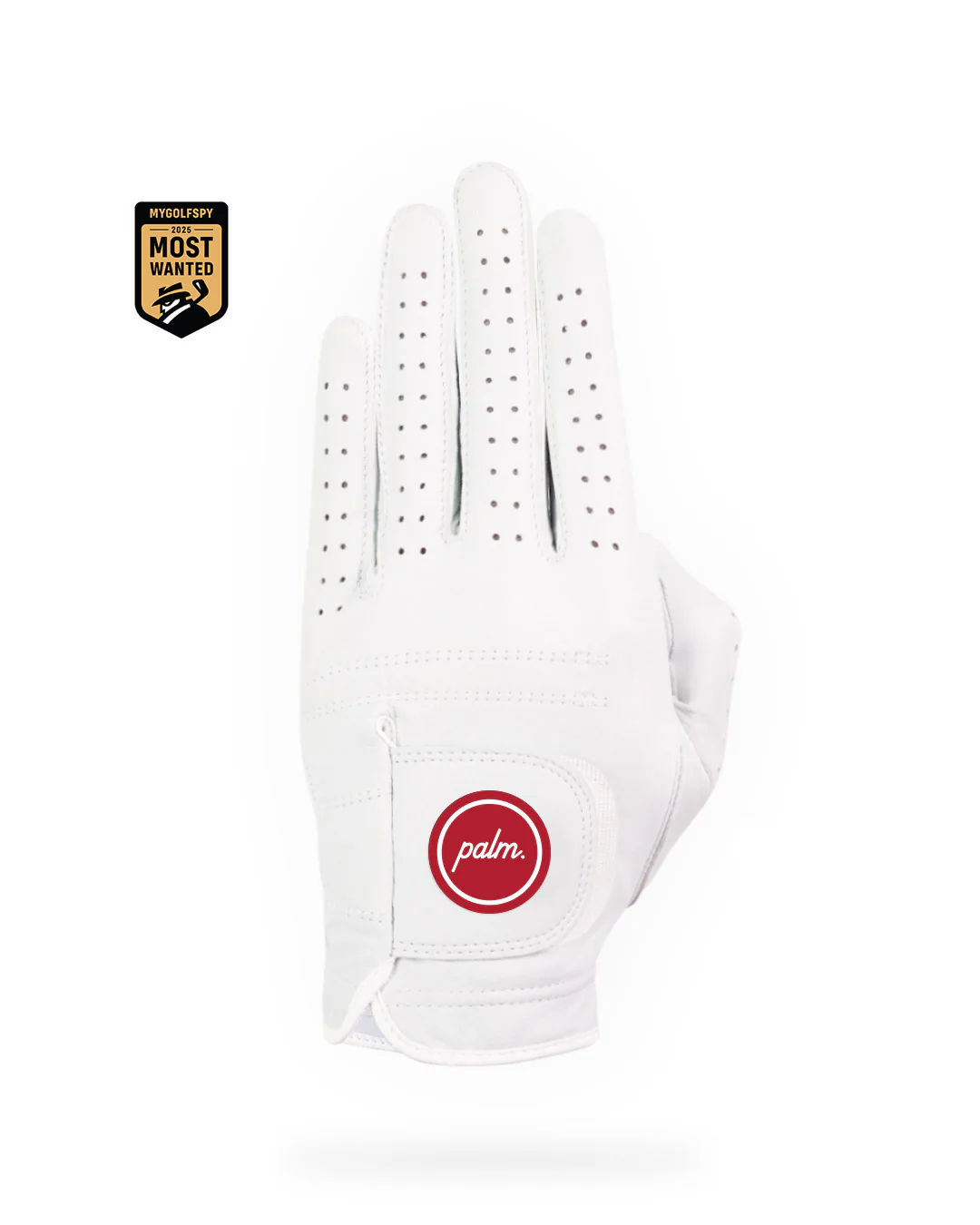 Men's AAA Cabretta Leather Glove - Image 12