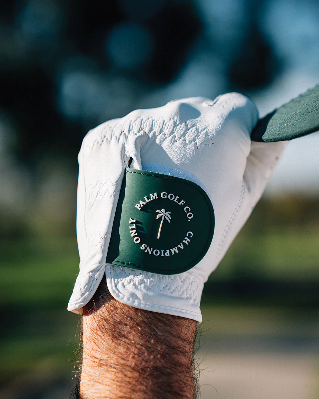 Men's Champions Only  Glove - Image 3